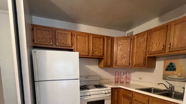 3021 S Michigan Avenue 304, Chicago, IL 60616