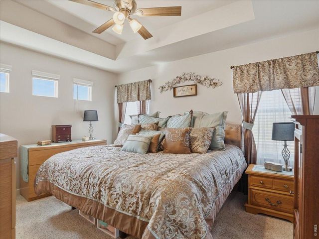 715 Apex Trl, Ault, CO 80610