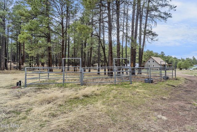 5348 FOREST SERVICE 701 Road, Happy Jack, AZ 86024