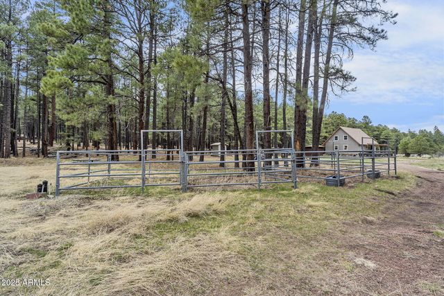 5348 FOREST SERVICE 701 Road, Happy Jack, AZ 86024