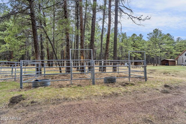 5348 FOREST SERVICE 701 Road, Happy Jack, AZ 86024