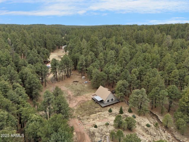 5348 FOREST SERVICE 701 Road, Happy Jack, AZ 86024