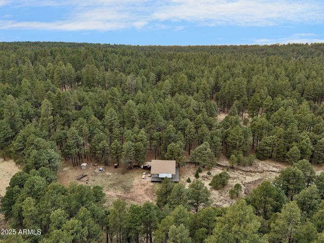 5348 FOREST SERVICE 701 Road, Happy Jack, AZ 86024