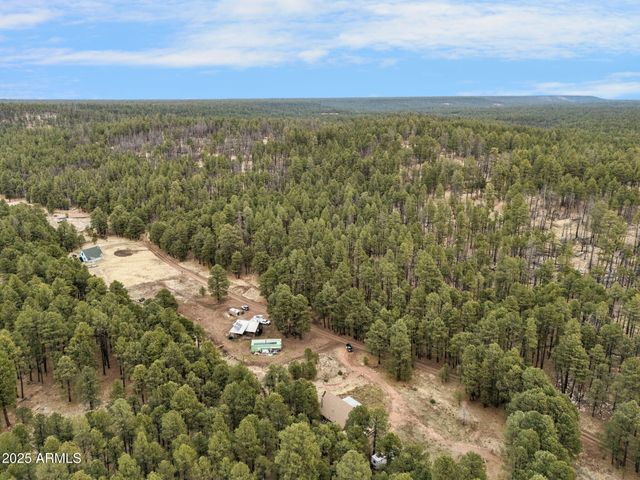 5348 FOREST SERVICE 701 Road, Happy Jack, AZ 86024