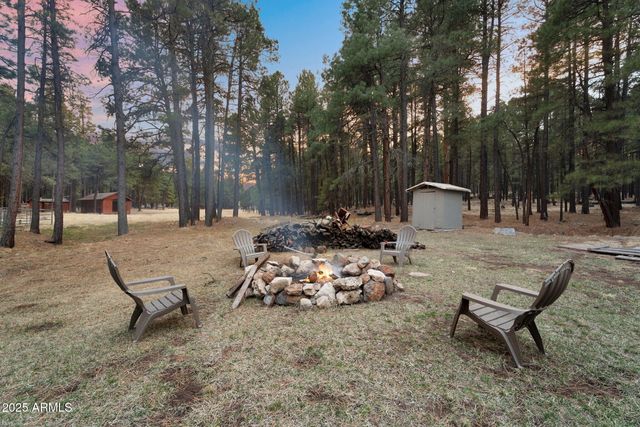 5348 FOREST SERVICE 701 Road, Happy Jack, AZ 86024