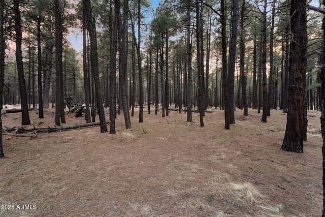 5348 FOREST SERVICE 701 Road, Happy Jack, AZ 86024