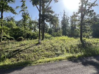 2 Slaughter Rd, Primm Springs, TN 38476