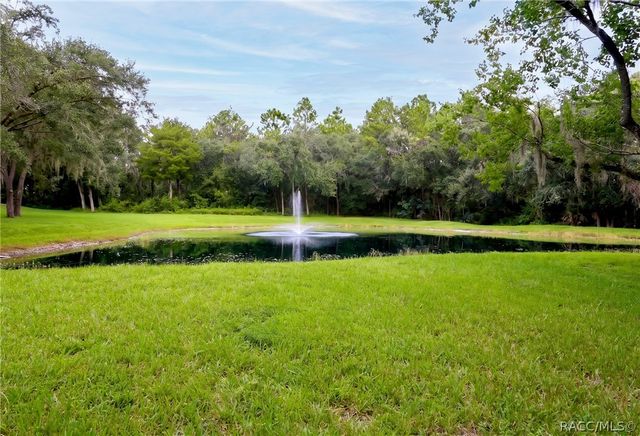 2320 N Hickory Glen Point, Hernando, FL 34442