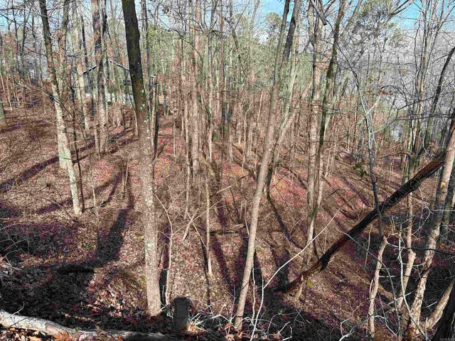 000 Oak Ln., Heber Springs, AR 72543