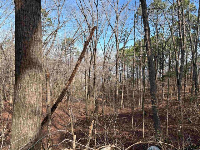 000 Oak Ln., Heber Springs, AR 72543