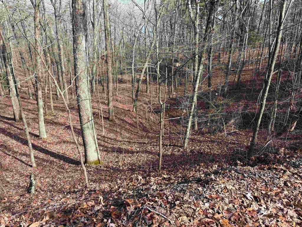 000 Oak Ln., Heber Springs, AR 72543
