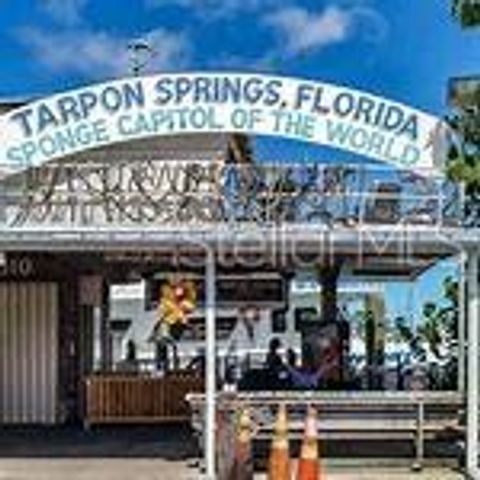 1716 GOLFVIEW DRIVE 1716, Tarpon Springs, FL 34689