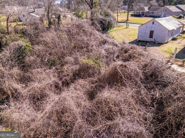 528 N Alexander Avenue, Washington, GA 30673