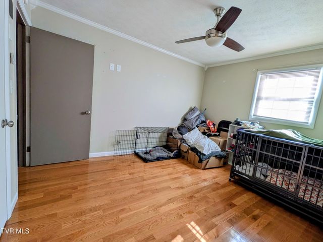 205 Live Oak Drive, Kingsport, TN 37660