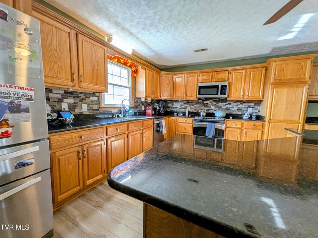 205 Live Oak Drive, Kingsport, TN 37660