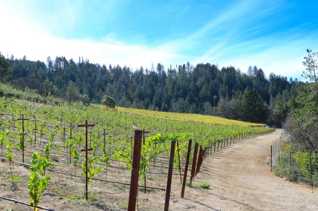 1755 Diamond Mountain Rd, Calistoga, CA 94515