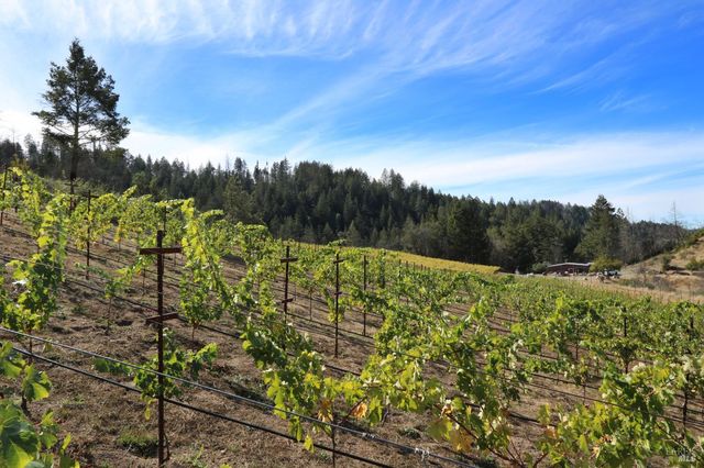 1755 Diamond Mountain Rd, Calistoga, CA 94515