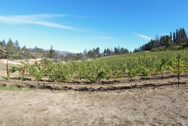 1755 Diamond Mountain Rd, Calistoga, CA 94515