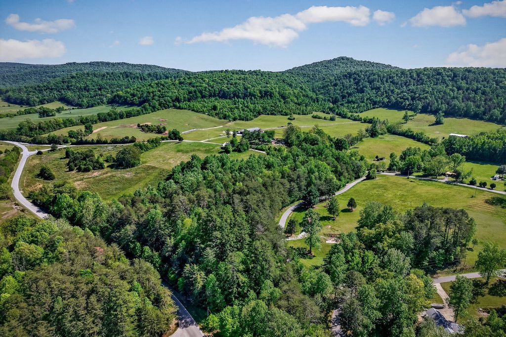 305 Caney Bend Rd, Doyle, TN 38559