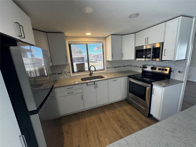 1003 OREN AVENUE, Lady Lake, FL 32159