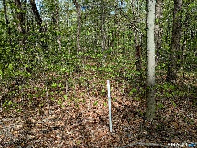 2581 Litchfield Road, Watertown, CT 06795