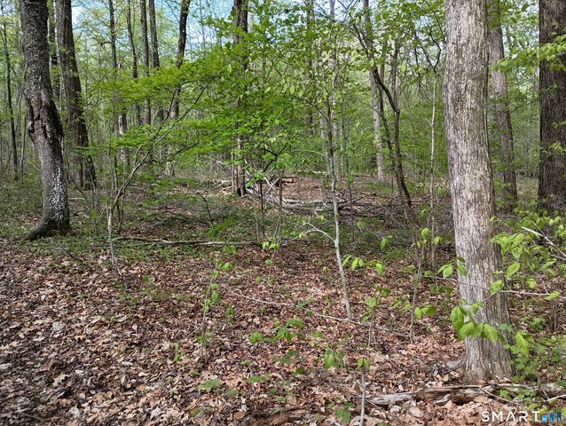 2581 Litchfield Road, Watertown, CT 06795