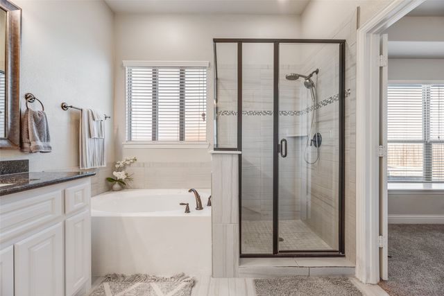 1207 Rendyn Street, Anna, TX 75409