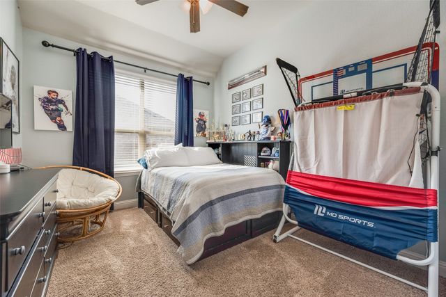 1207 Rendyn Street, Anna, TX 75409