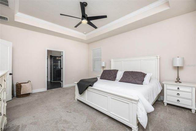 11530 LAKE LUCAYA DRIVE, Riverview, FL 33579