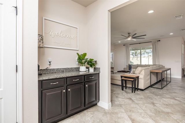 11530 LAKE LUCAYA DRIVE, Riverview, FL 33579