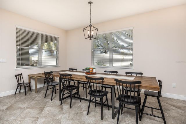 11530 LAKE LUCAYA DRIVE, Riverview, FL 33579