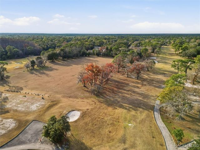 2, 4 & 8 Nephthytis Court, Homosassa, FL 34446