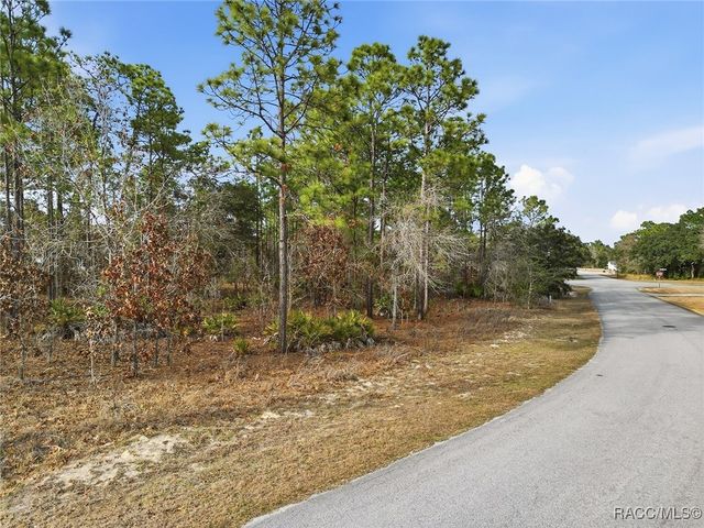 2, 4 & 8 Nephthytis Court, Homosassa, FL 34446