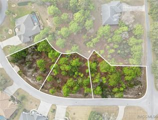 2, 4 & 8 Nephthytis Court, Homosassa, FL 34446