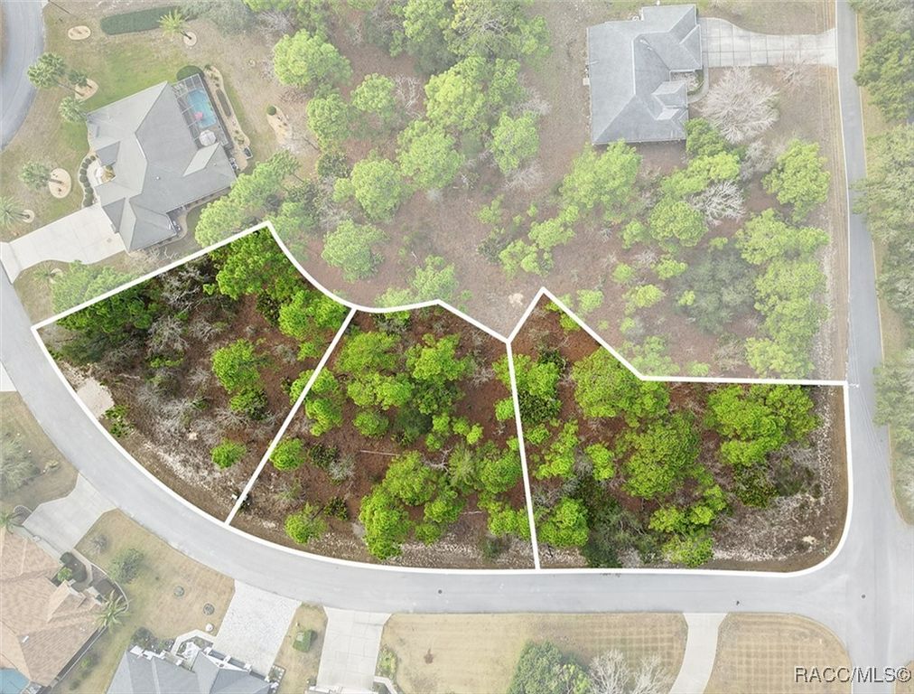 2, 4 & 8 Nephthytis Court, Homosassa, FL 34446