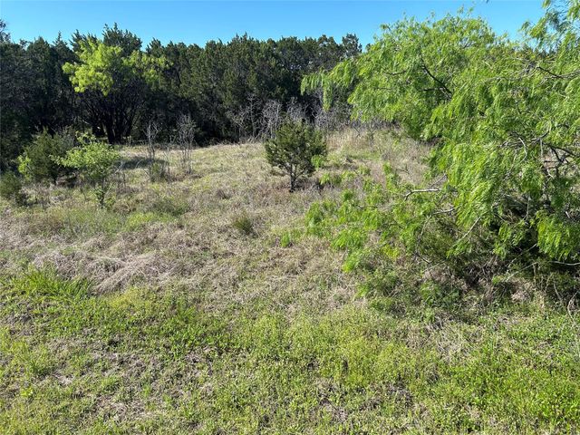 44097 Cedar Hill Dr, Whitney, TX 76692