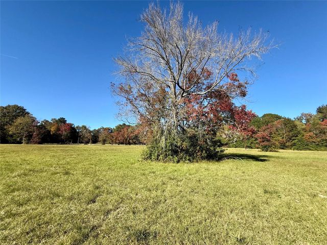 225 State Highway Loop 116, Livingston, TX 77351