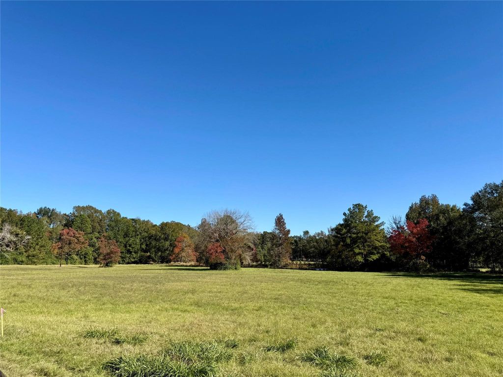 225 State Highway Loop 116, Livingston, TX 77351