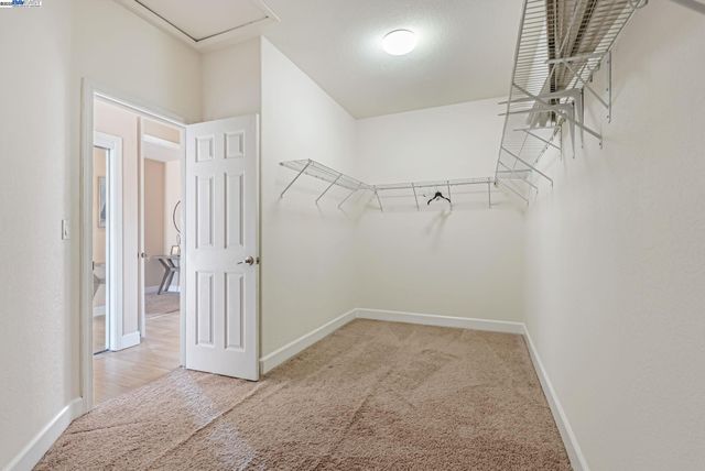 141 Pescara Blvd, Brentwood, CA 94513