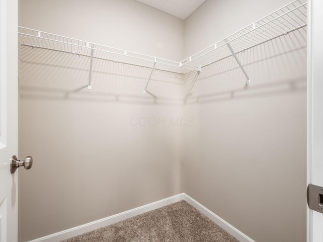 8579 Tupelo Way, Plain City, OH 43064