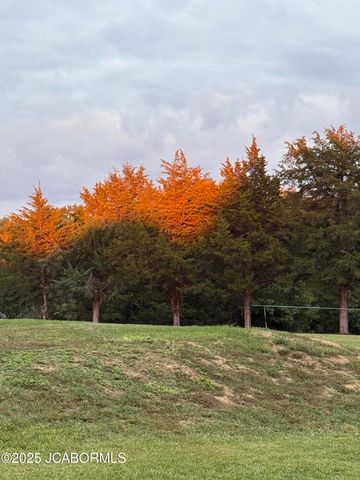 305 W HILLCREST AVENUE, Holts Summit, MO 65043