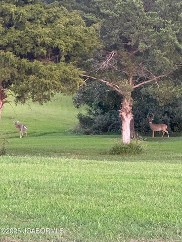 305 W HILLCREST AVENUE, Holts Summit, MO 65043