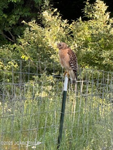 305 W HILLCREST AVENUE, Holts Summit, MO 65043