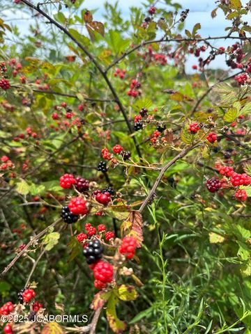 305 W HILLCREST AVENUE, Holts Summit, MO 65043