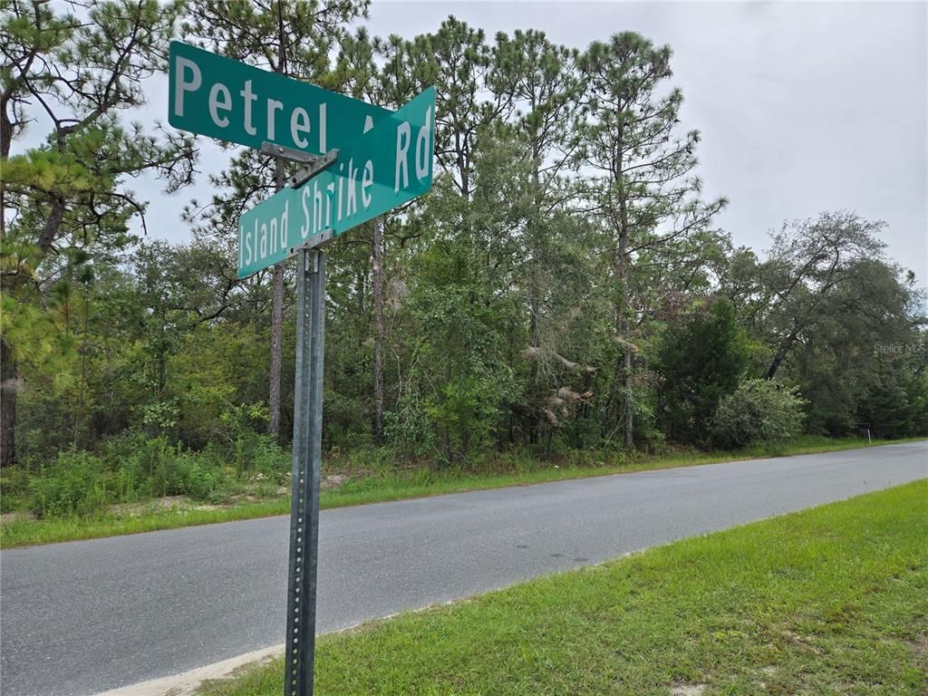 0 PETREL AVENUE, Weeki Wachee, FL 34614