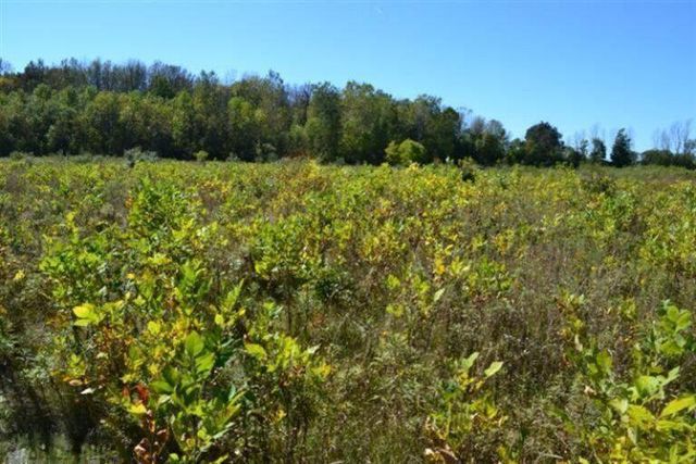 5312 18 Mile Road NE, Cedar Springs, MI 49319