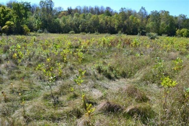 5312 18 Mile Road NE, Cedar Springs, MI 49319