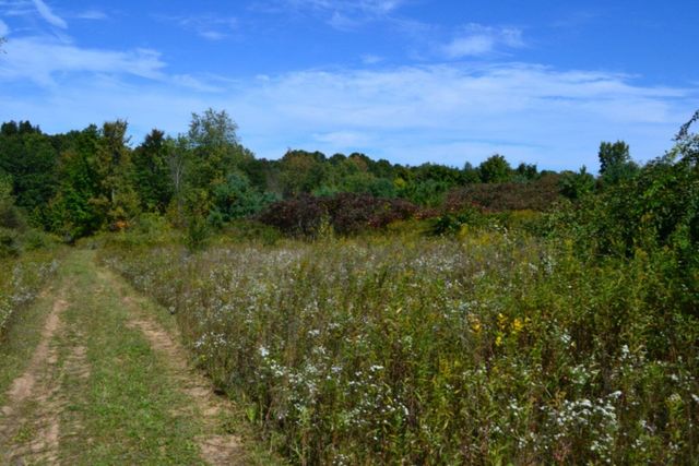 5312 18 Mile Road NE, Cedar Springs, MI 49319