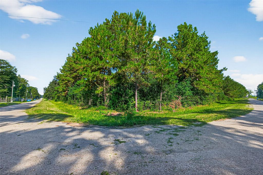 1366 County Road 3434, Cleveland, TX 77327