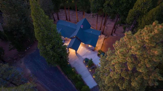 19015 E Pine Dr, Pioneer, CA 95666